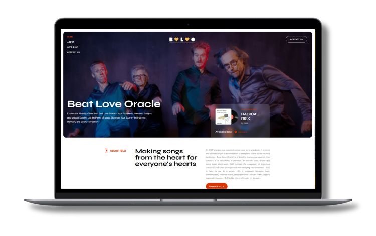 BLO-case study (2)