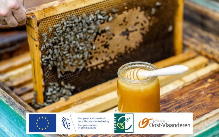 goeste meetjesland-case study (3)